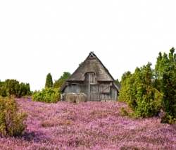 Lüneburger Heide